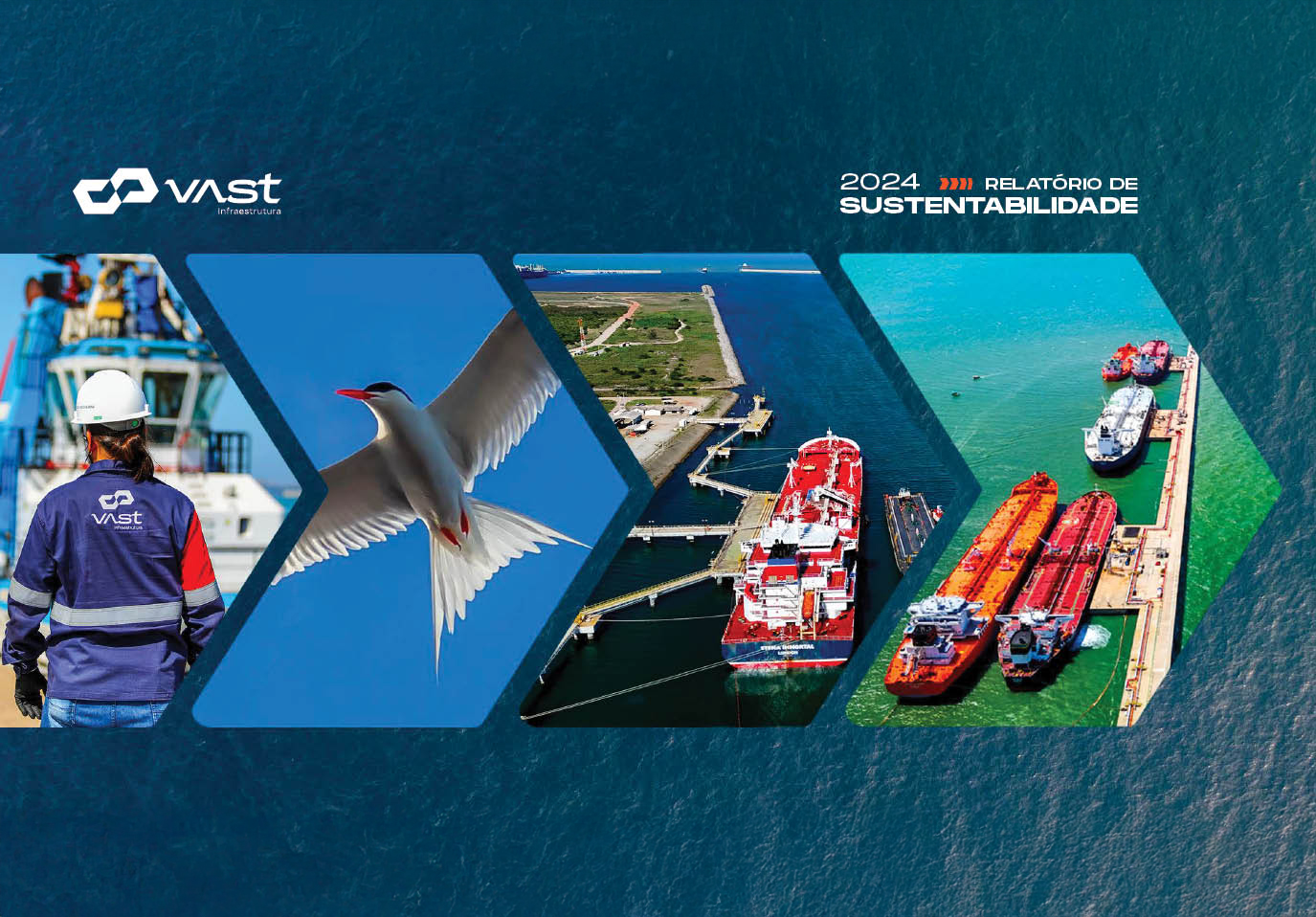 thumbnail of 2024 – Vast